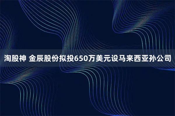 淘股神 金辰股份拟投650万美元设马来西亚孙公司
