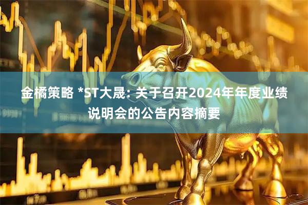金橘策略 *ST大晟: 关于召开2024年年度业绩说明会的公告内容摘要