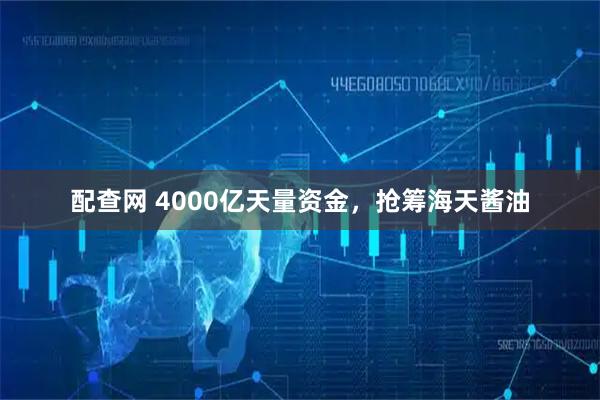 配查网 4000亿天量资金，抢筹海天酱油