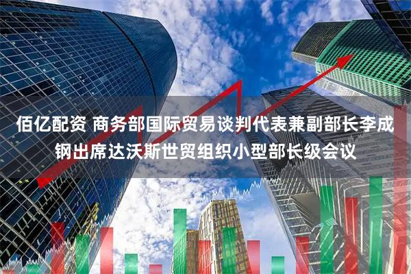 佰亿配资 商务部国际贸易谈判代表兼副部长李成钢出席达沃斯世贸组织小型部长级会议